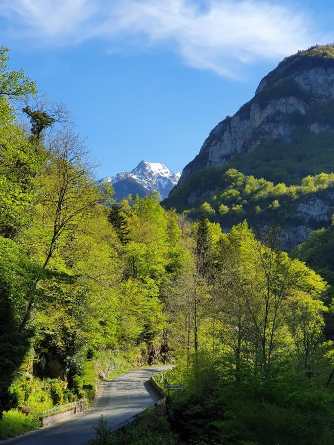 Auberge La Caverne لارونس المظهر الخارجي الصورة